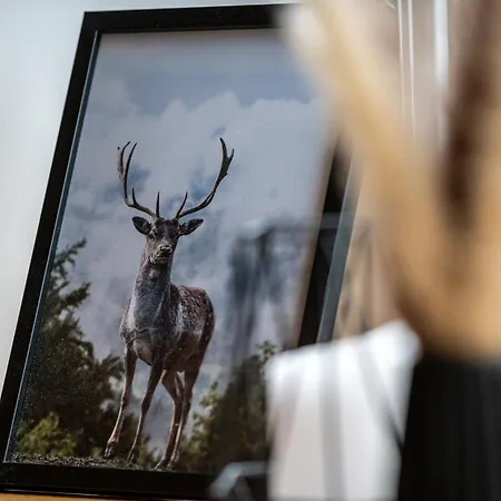 Stanma Hirschtraum Fuer 7 Personen Mit 3 Schlafzimmern Lägenhet Braunlage