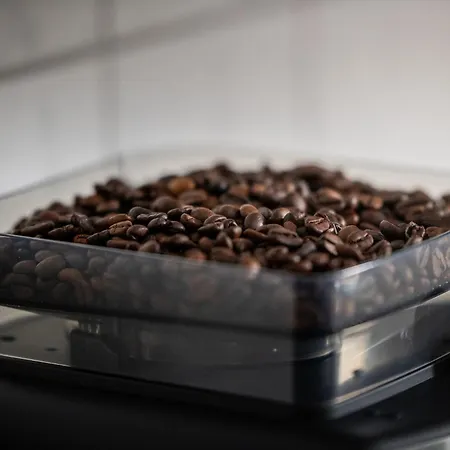 Lägenhet Stanma Hirschtraum Fuer 7 Personen Mit 3 Schlafzimmern